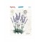 My Hobby My Hobby Sulu Transfer ST-031 25X35 Cm
