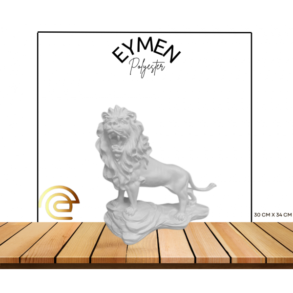 ASLAN 1