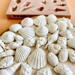 DENİZ KABUKLARI - Seashells DENİZ KABUKLARI - Seashells