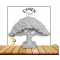 BONSAİ AĞAÇ YATAY