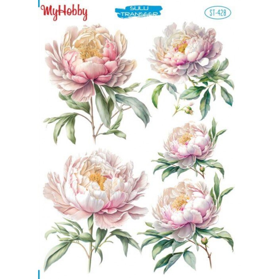 My Hobby My Hobby St 306 Sulu Transfer 25X35