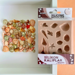 DENİZ KABUKLARI - Seashells DENİZ KABUKLARI - Seashells